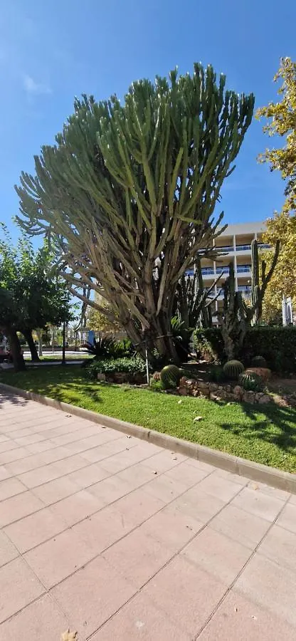 Dorada Mar Salou Apartman